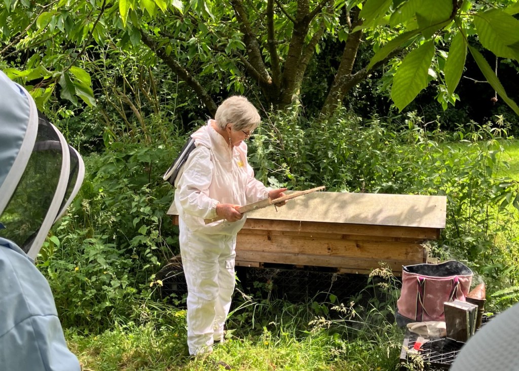Protected: Apiary Meeting held on Saturday 29th June, hosted by Trish Shotton at Botwood Farmhouse, Ditton&nbsp;Priors.